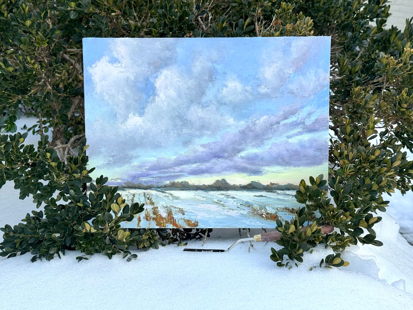 Wide Winter, Soft Light