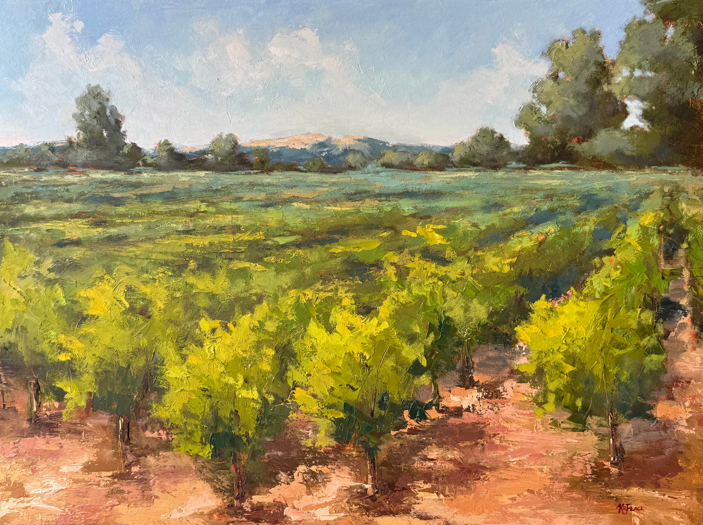 Vignes et Coteaux Devant la Montagne