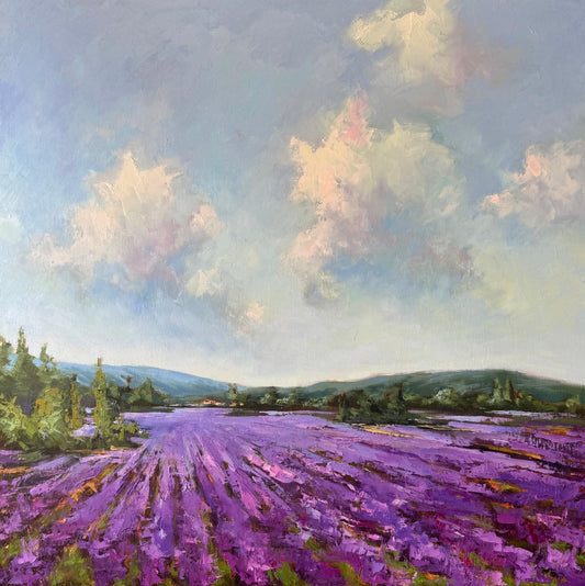 Lumière et Lavande