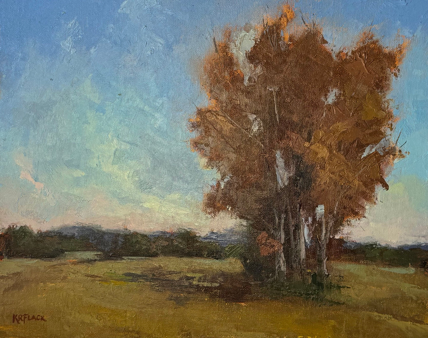 Where the Leaves Breathe